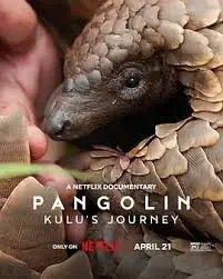 《穿山甲Kulu的旅程》：奇幻冒险中的生命赞歌，萌化心灵的治愈之旅！